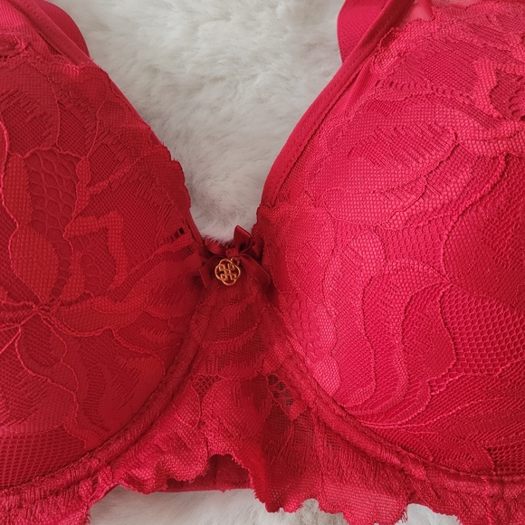 💋DAISY FUENTES BRAND NEW HIGH APEX LACE BRA SIZE 40C - Picture 3 of 11